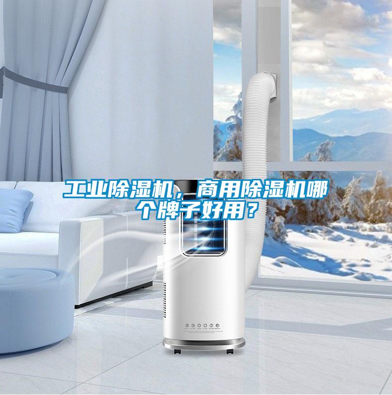 工業(yè)除濕機(jī)，商用除濕機(jī)哪個牌子好用？