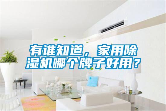 有誰(shuí)知道，家用除濕機(jī)哪個(gè)牌子好用？