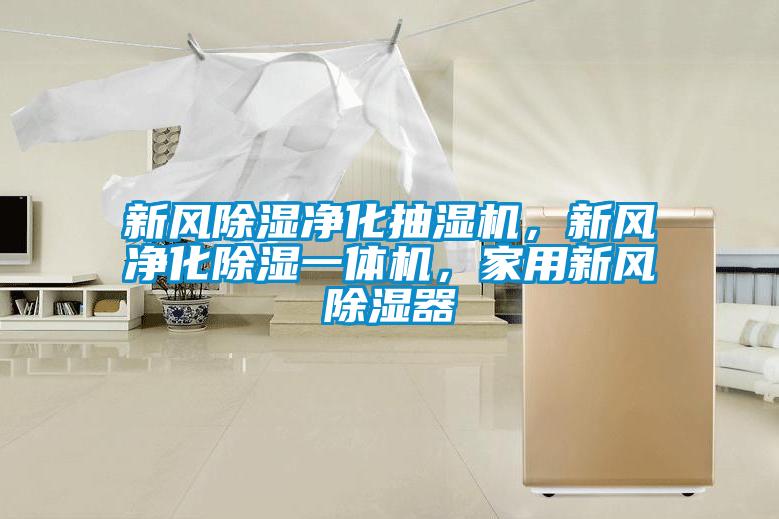 新風除濕凈化抽濕機，新風凈化除濕一體機，家用新風除濕器