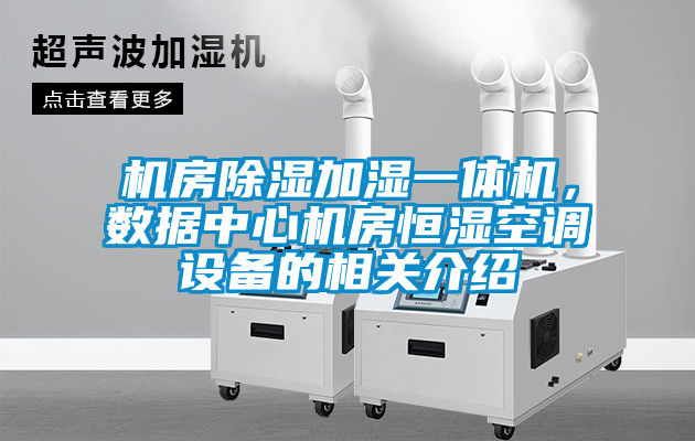 機房除濕加濕一體機，數(shù)據(jù)中心機房恒濕空調(diào)設備的相關介紹