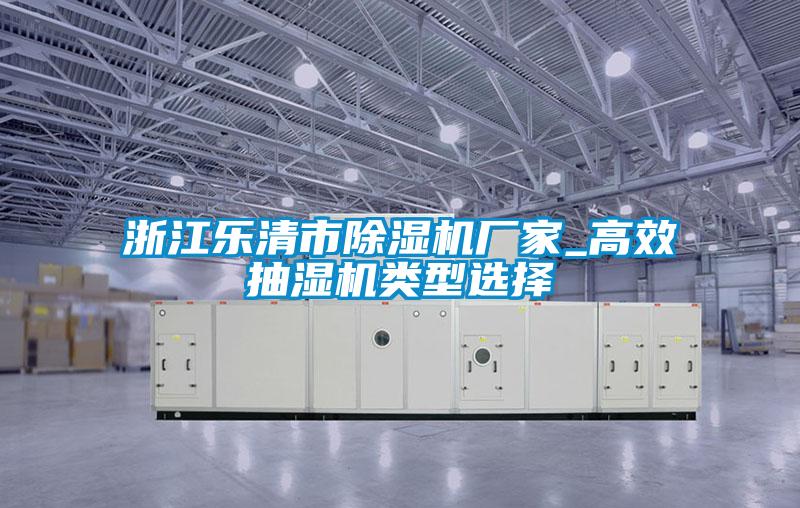 浙江樂(lè)清市除濕機(jī)廠家_高效抽濕機(jī)類(lèi)型選擇