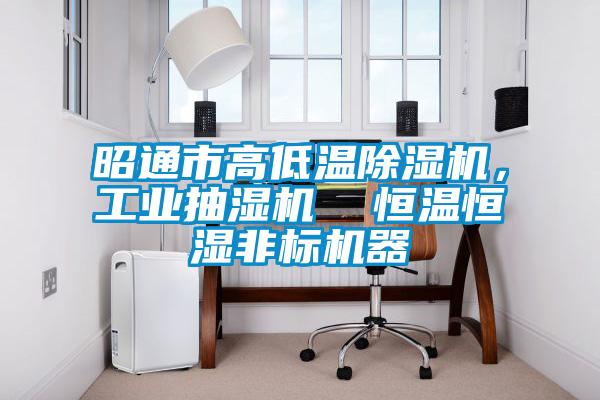 昭通市高低溫除濕機(jī)，工業(yè)抽濕機(jī)  恒溫恒濕非標(biāo)機(jī)器