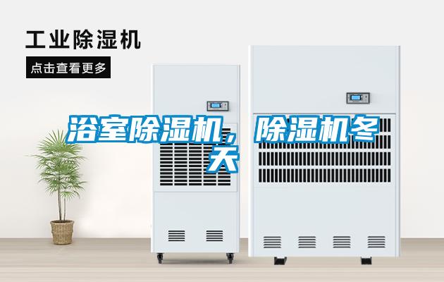 浴室除濕機(jī)，除濕機(jī)冬天