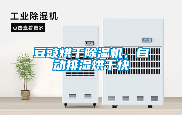 豆豉烘干除濕機，自動排濕烘干快