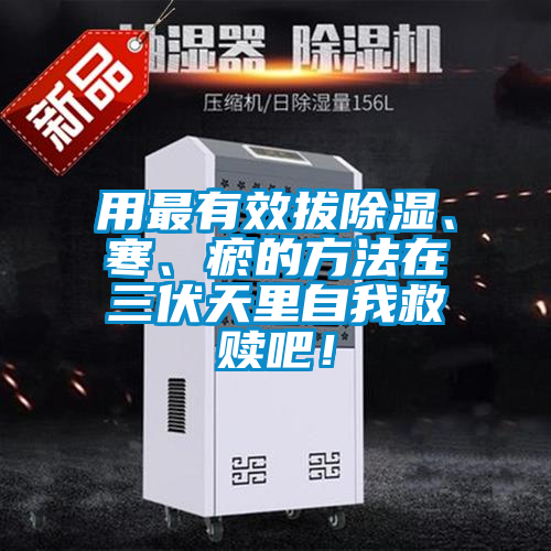 用最有效拔除濕、寒、瘀的方法在三伏天里自我救贖吧！