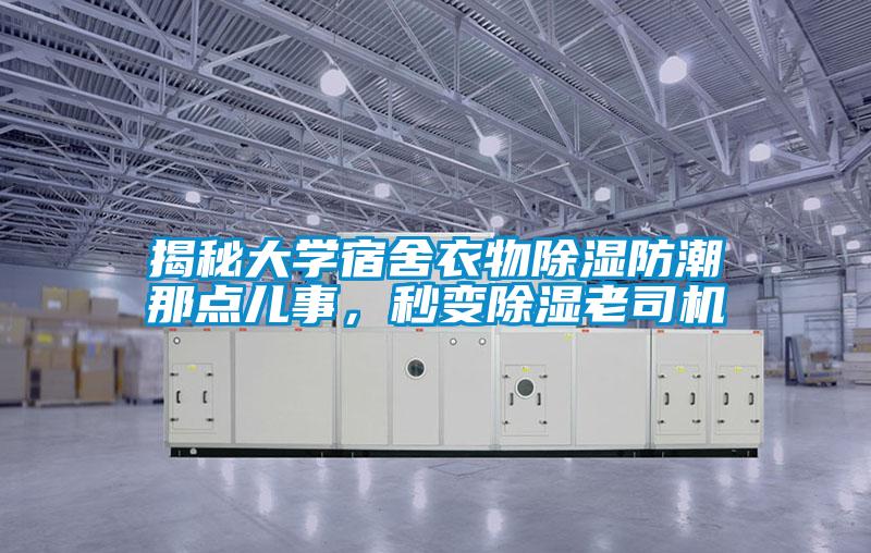 揭秘大學(xué)宿舍衣物除濕防潮那點(diǎn)兒事，秒變除濕老司機(jī)