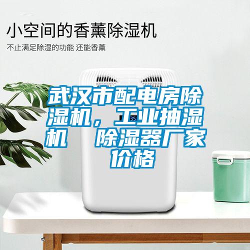 武漢市配電房除濕機(jī)，工業(yè)抽濕機(jī)  除濕器廠家 價(jià)格