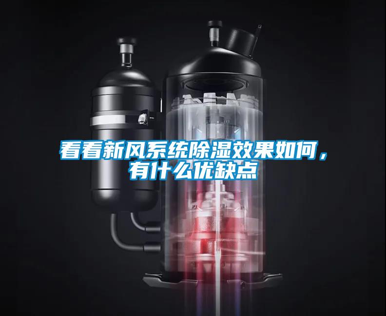 看看新風系統(tǒng)除濕效果如何，有什么優(yōu)缺點