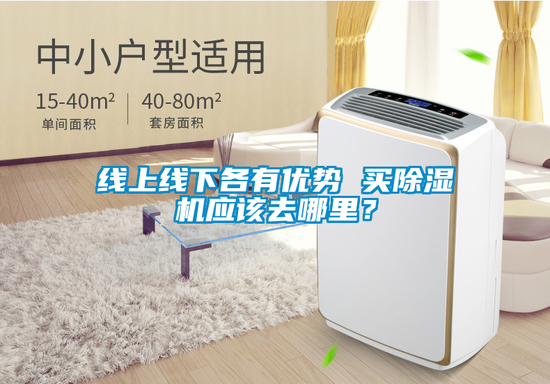 線上線下各有優(yōu)勢 買除濕機應(yīng)該去哪里？