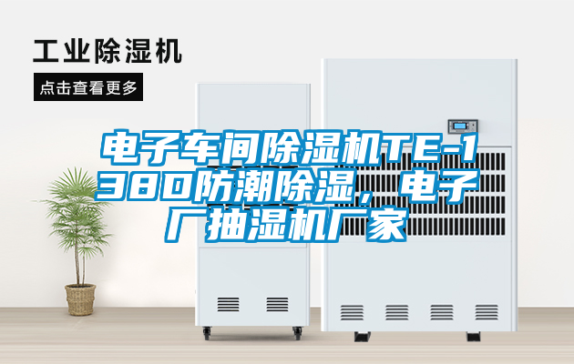電子車間除濕機TE-138D防潮除濕，電子廠抽濕機廠家