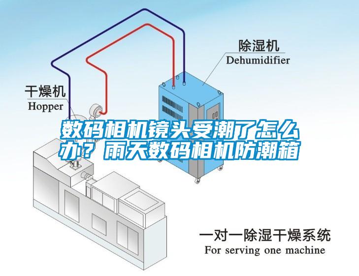 數(shù)碼相機(jī)鏡頭受潮了怎么辦？雨天數(shù)碼相機(jī)防潮箱
