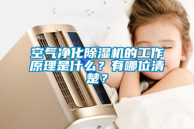 空氣凈化除濕機(jī)的工作原理是什么？有哪位清楚？