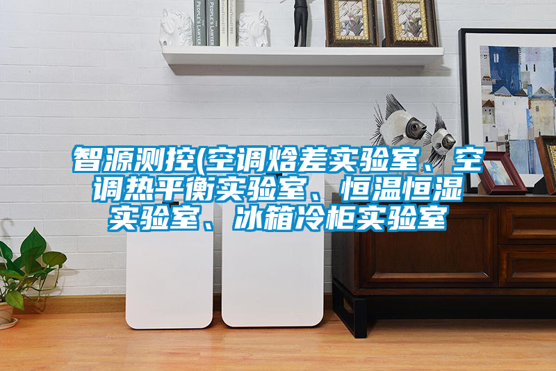 智源測(cè)控(空調(diào)焓差實(shí)驗(yàn)室、空調(diào)熱平衡實(shí)驗(yàn)室、恒溫恒濕實(shí)驗(yàn)室、冰箱冷柜實(shí)驗(yàn)室