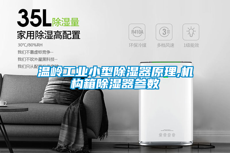 溫嶺工業(yè)小型除濕器原理,機構箱除濕器參數