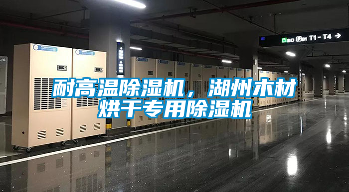 耐高溫除濕機(jī)，湖州木材烘干專用除濕機(jī)