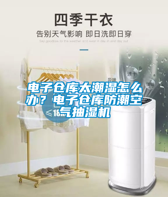 電子倉庫太潮濕怎么辦？電子倉庫防潮空氣抽濕機(jī)