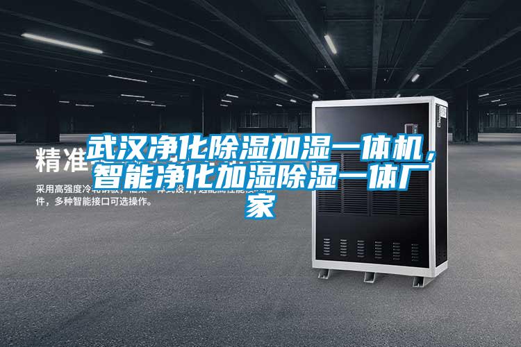 武漢凈化除濕加濕一體機(jī)，智能凈化加濕除濕一體廠家