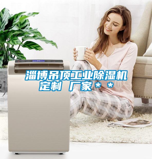 淄博吊頂工業(yè)除濕機定制 廠家＊＊