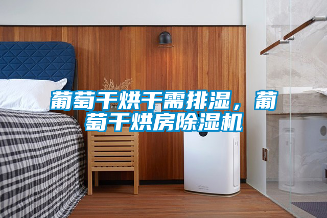 葡萄干烘干需排濕，葡萄干烘房除濕機(jī)