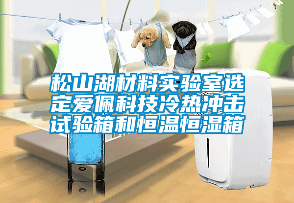 松山湖材料實(shí)驗(yàn)室選定愛佩科技冷熱沖擊試驗(yàn)箱和恒溫恒濕箱