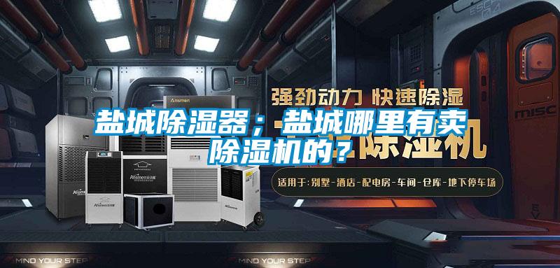 鹽城除濕器；鹽城哪里有賣除濕機(jī)的？