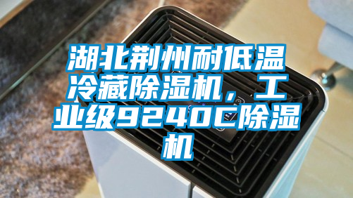 湖北荊州耐低溫冷藏除濕機，工業(yè)級9240C除濕機