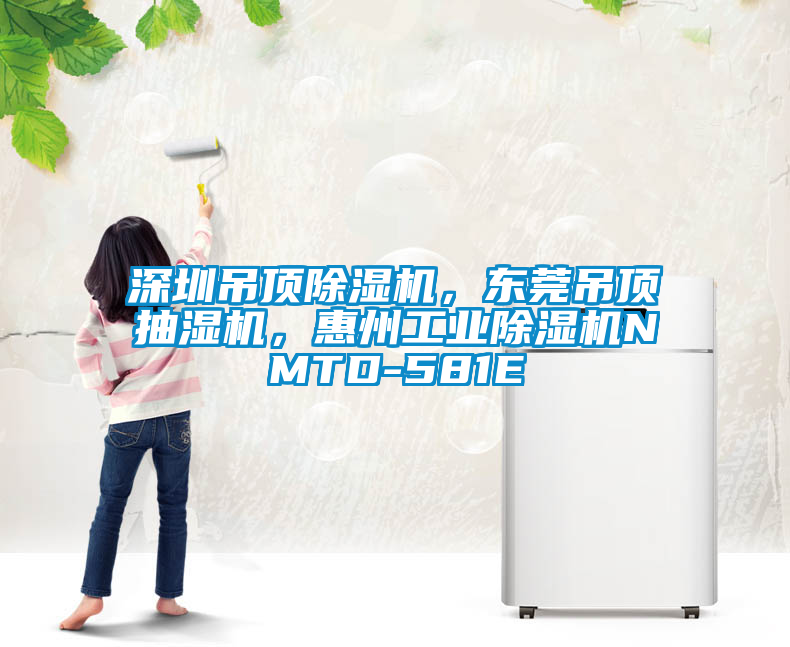 深圳吊頂除濕機，東莞吊頂抽濕機，惠州工業(yè)除濕機NMTD-581E
