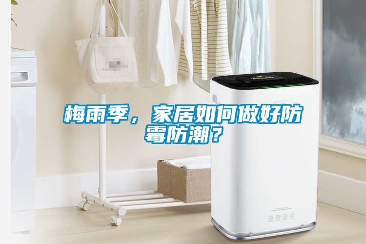 梅雨季，家居如何做好防霉防潮？