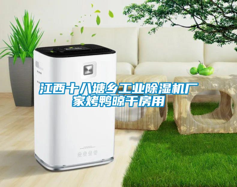江西十八塘鄉(xiāng)工業(yè)除濕機廠家烤鴨晾干房用