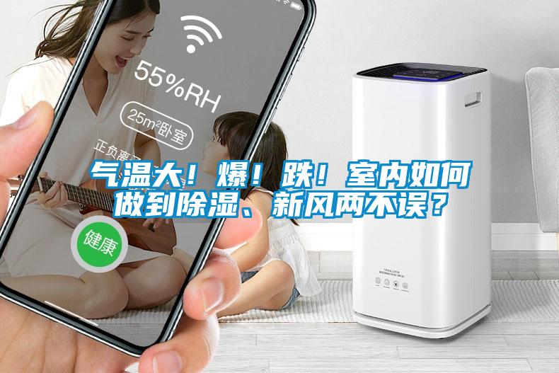 氣溫大！爆！跌！室內(nèi)如何做到除濕、新風(fēng)兩不誤？