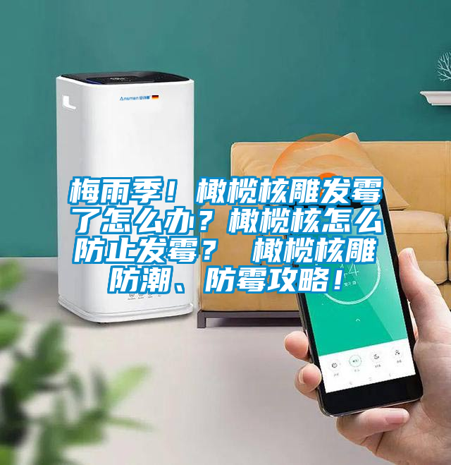 梅雨季！橄欖核雕發(fā)霉了怎么辦？橄欖核怎么防止發(fā)霉？ 橄欖核雕防潮、防霉攻略！