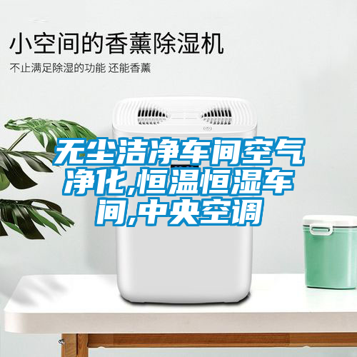 無(wú)塵潔凈車間空氣凈化,恒溫恒濕車間,中央空調(diào)