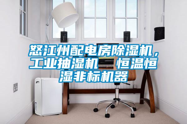怒江州配電房除濕機(jī)，工業(yè)抽濕機(jī)  恒溫恒濕非標(biāo)機(jī)器