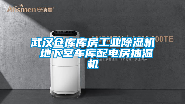 武漢倉(cāng)庫(kù)庫(kù)房工業(yè)除濕機(jī) 地下室車(chē)庫(kù)配電房抽濕機(jī)