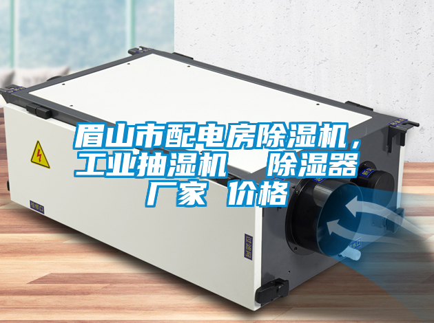 眉山市配電房除濕機(jī)，工業(yè)抽濕機(jī)  除濕器廠家 價(jià)格