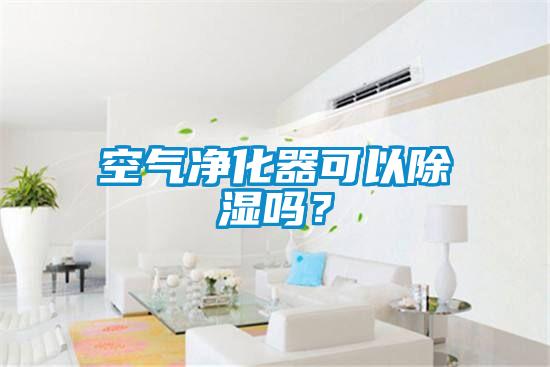 空氣凈化器可以除濕嗎？