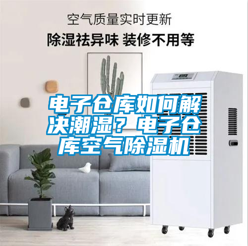 電子倉庫如何解決潮濕？電子倉庫空氣除濕機(jī)
