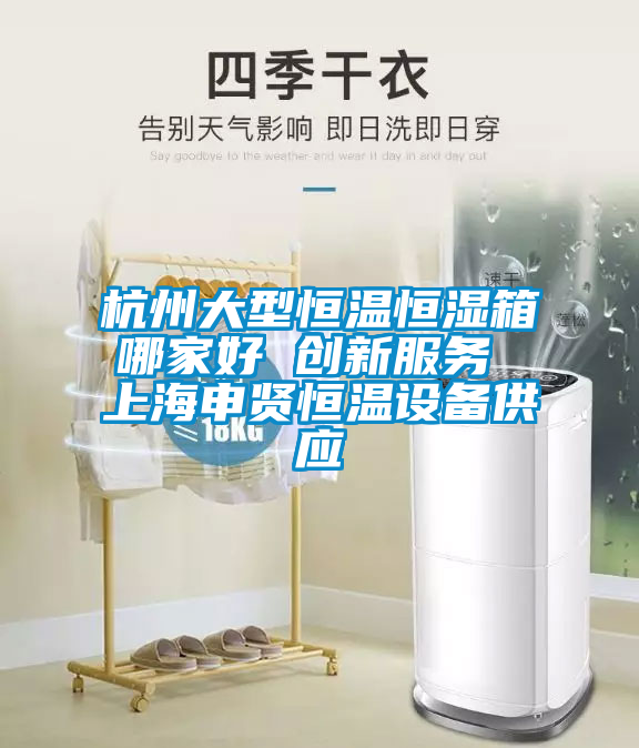 杭州大型恒溫恒濕箱哪家好 創(chuàng)新服務 上海申賢恒溫設備供應