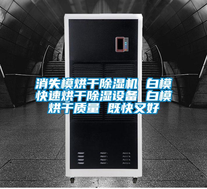 消失模烘干除濕機(jī) 白?？焖俸娓沙凉裨O(shè)備 白模烘干質(zhì)量 既快又好