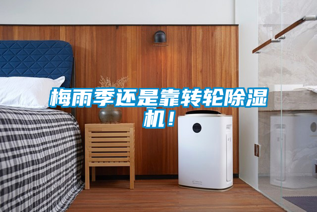 梅雨季還是靠轉(zhuǎn)輪除濕機！