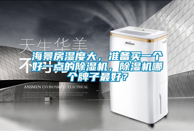 海景房濕度大，準(zhǔn)備買一個(gè)好一點(diǎn)的除濕機(jī)，除濕機(jī)哪個(gè)牌子最好？