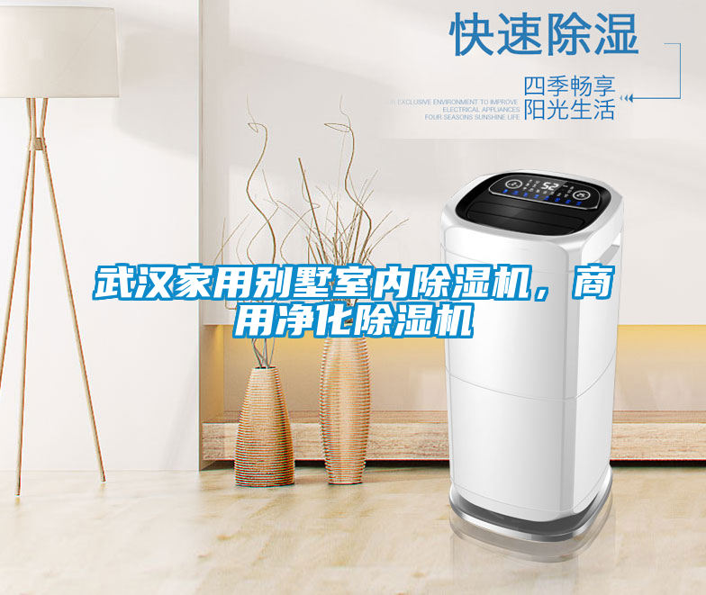武漢家用別墅室內(nèi)除濕機(jī)，商用凈化除濕機(jī)