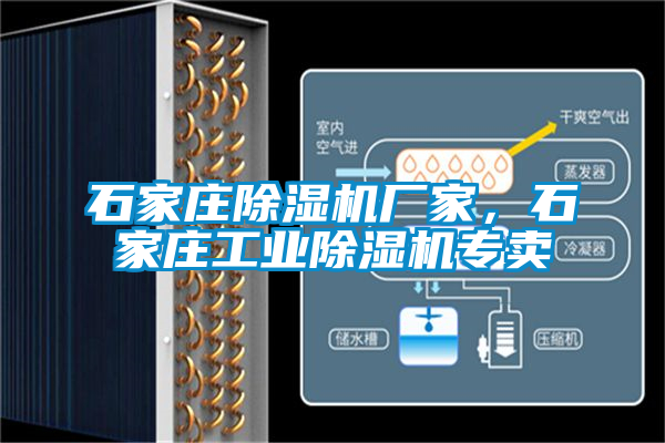石家莊除濕機(jī)廠家，石家莊工業(yè)除濕機(jī)專賣