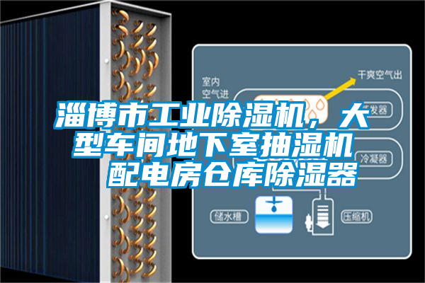 淄博市工業(yè)除濕機，大型車間地下室抽濕機  配電房倉庫除濕器