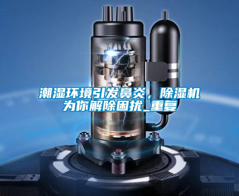 潮濕環(huán)境引發(fā)鼻炎，除濕機(jī)為你解除困擾_重復(fù)