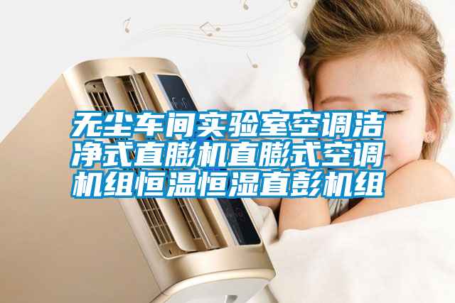 無(wú)塵車間實(shí)驗(yàn)室空調(diào)潔凈式直膨機(jī)直膨式空調(diào)機(jī)組恒溫恒濕直彭機(jī)組