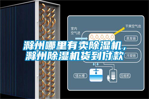 滁州哪里有賣除濕機(jī)，滁州除濕機(jī)貨到付款