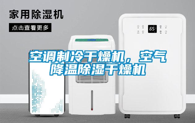 空調(diào)制冷干燥機(jī)，空氣降溫除濕干燥機(jī)
