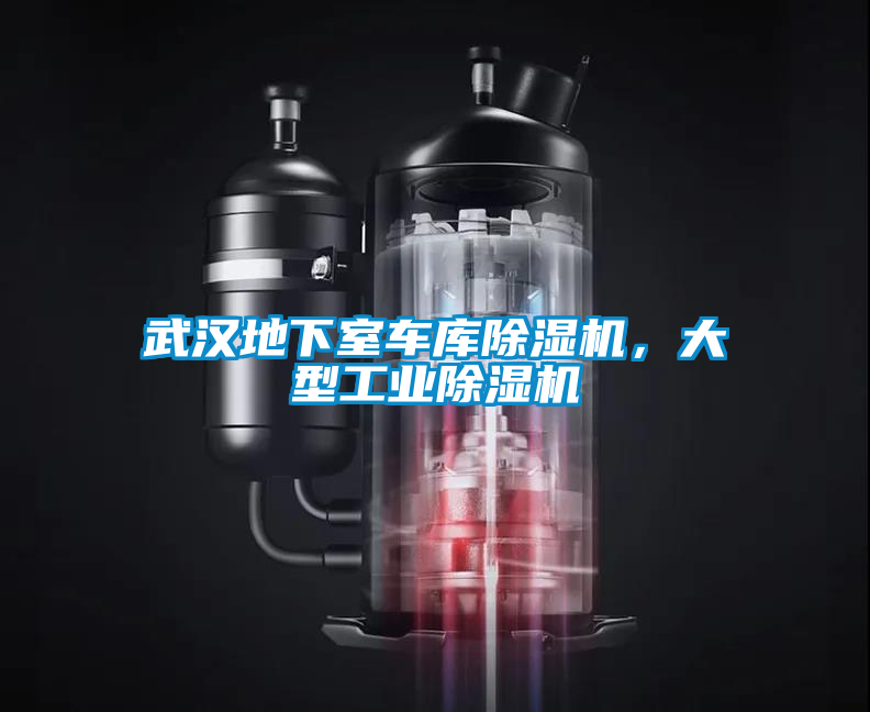 武漢地下室車(chē)庫(kù)除濕機(jī)，大型工業(yè)除濕機(jī)