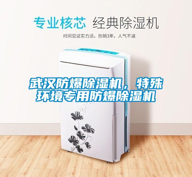 武漢防爆除濕機(jī)，特殊環(huán)境專用防爆除濕機(jī)